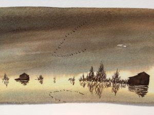 Fiume-lento-Alessandro-Sanna-Rizzoli-Galline-Volanti
