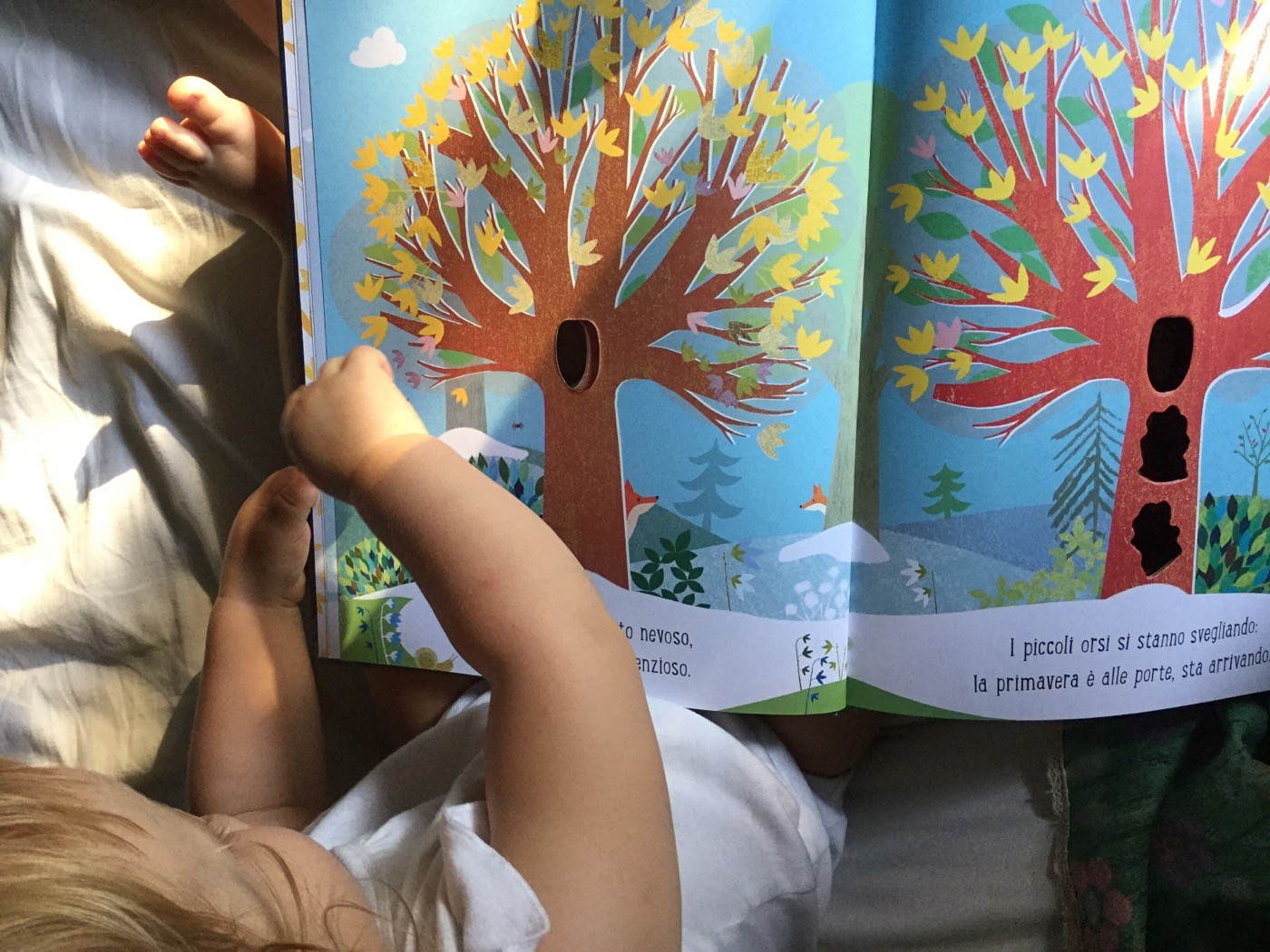 Albero Britta Teckentrup