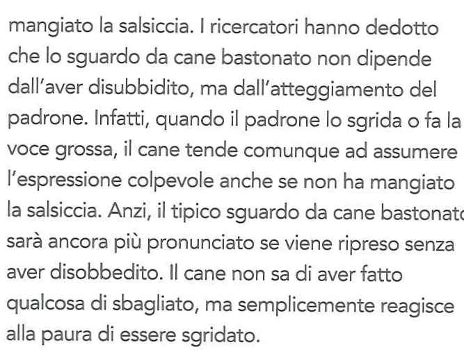 canigatti_editorialescienza12