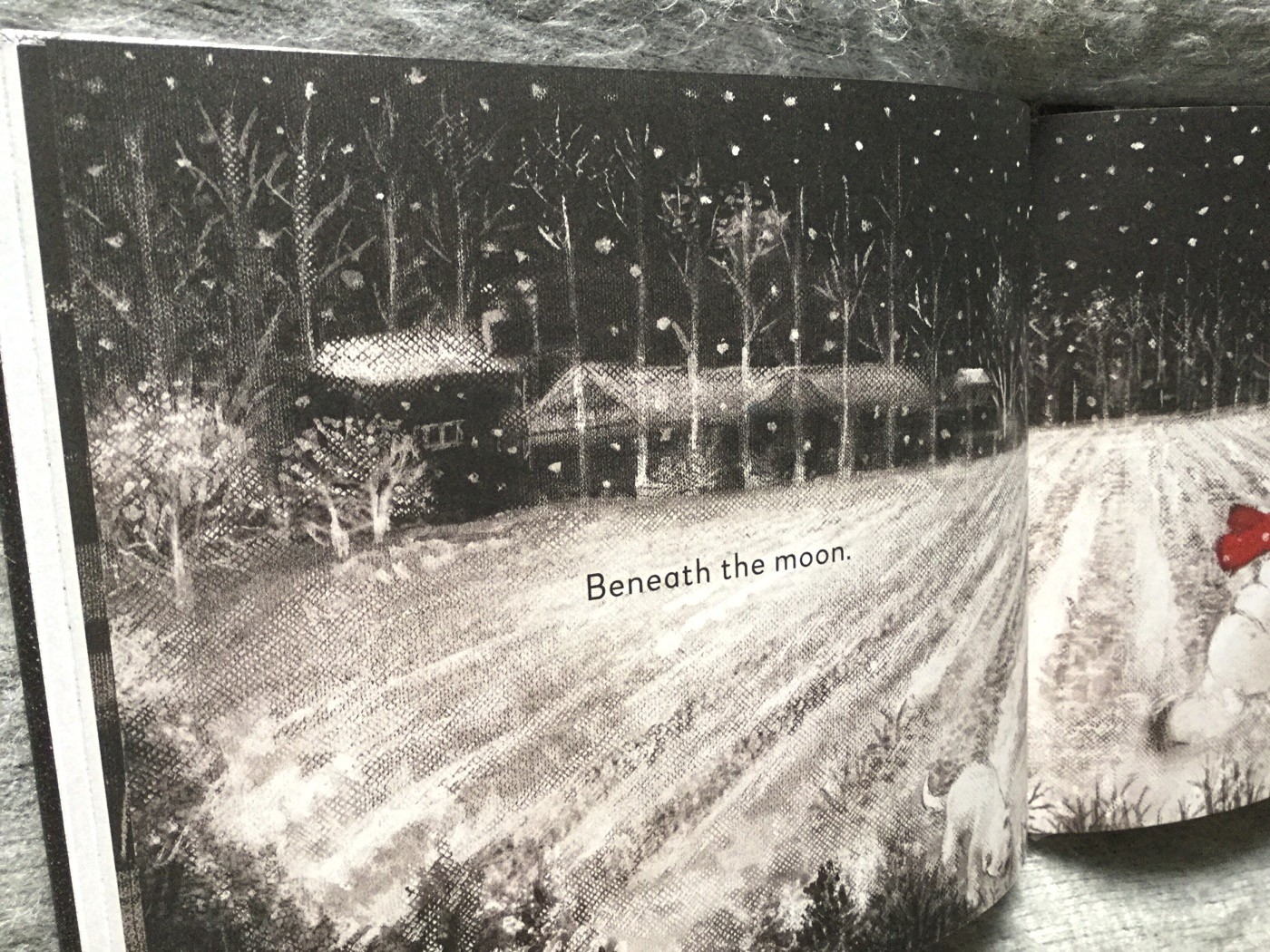 First snow - Bomi Park