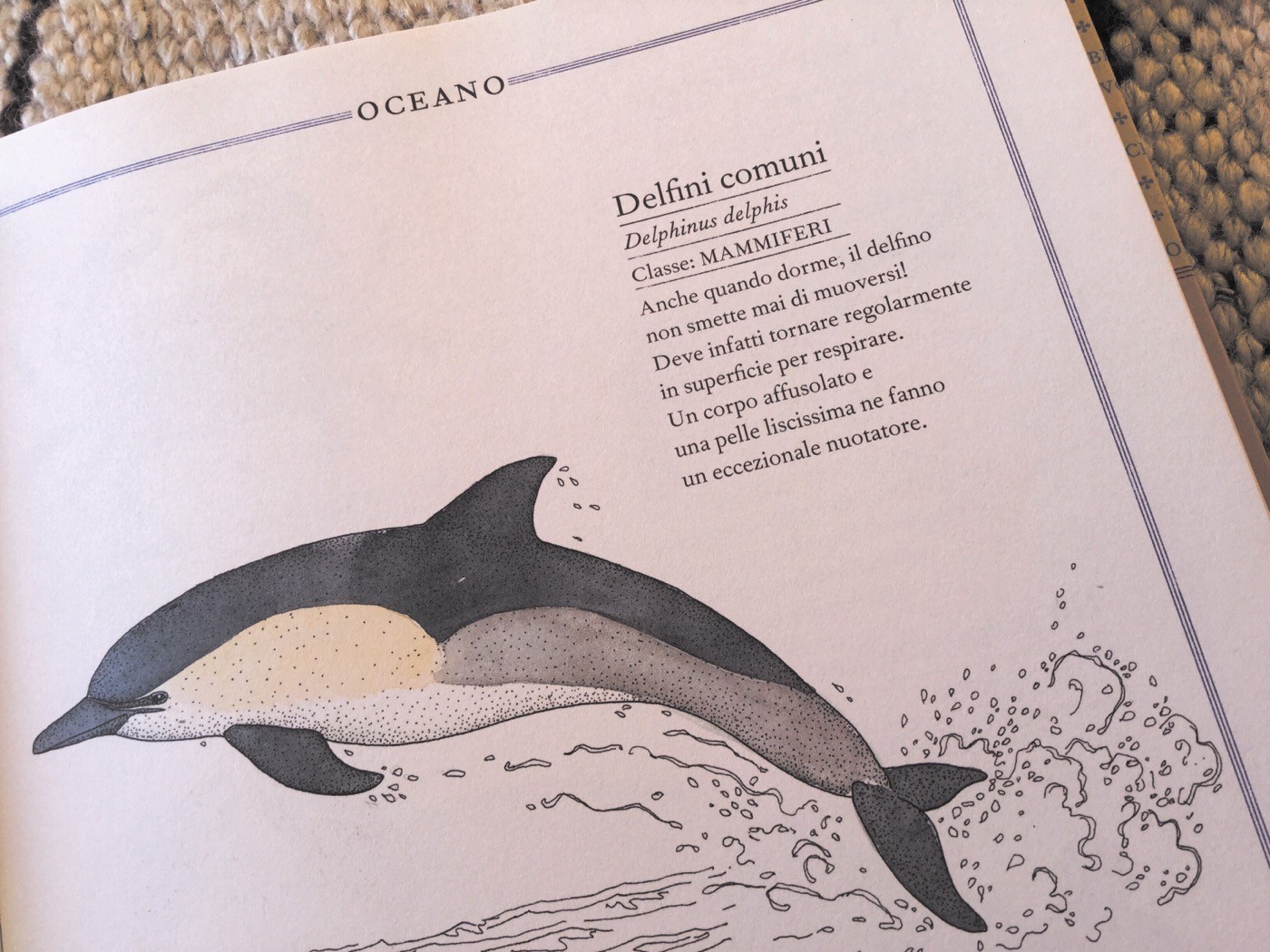 INVENTARIO ILLUSTRATO DEGLI ANIMALI Emmanuelle Tchoukriel e Virginie Aladjidi Ippocampo Edizioni