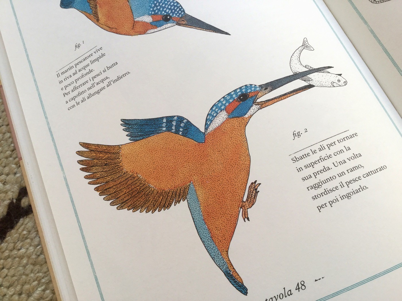 INVENTARIO ILLUSTRATO DEGLI ANIMALI Emmanuelle Tchoukriel e Virginie Aladjidi Ippocampo Edizioni