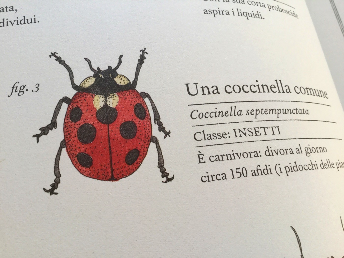 INVENTARIO ILLUSTRATO DEGLI ANIMALI Emmanuelle Tchoukriel e Virginie Aladjidi Ippocampo Edizioni