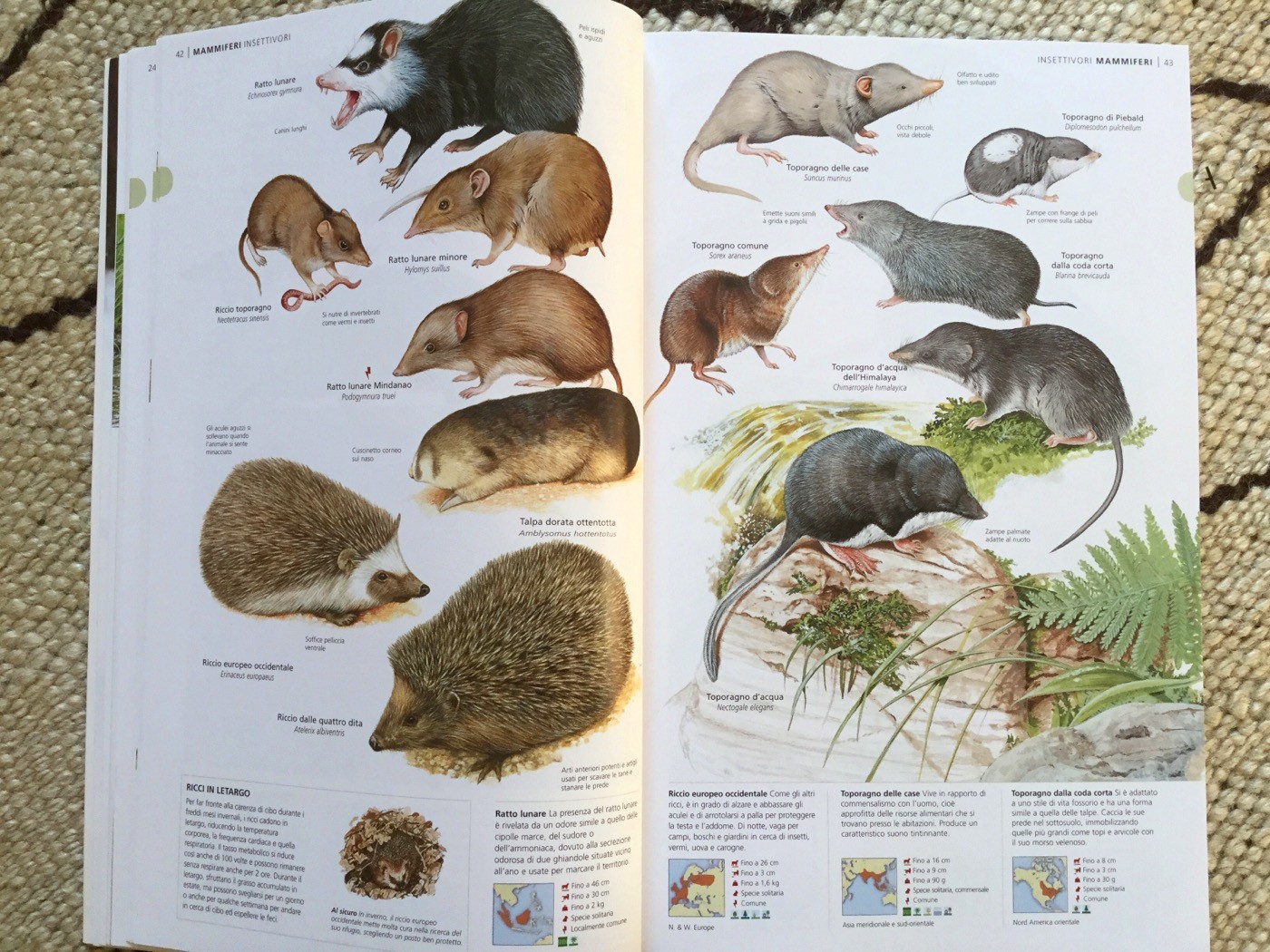 NUOVA ENCICLOPEDIA DEGLI ANIMALI - Touring Club Editore