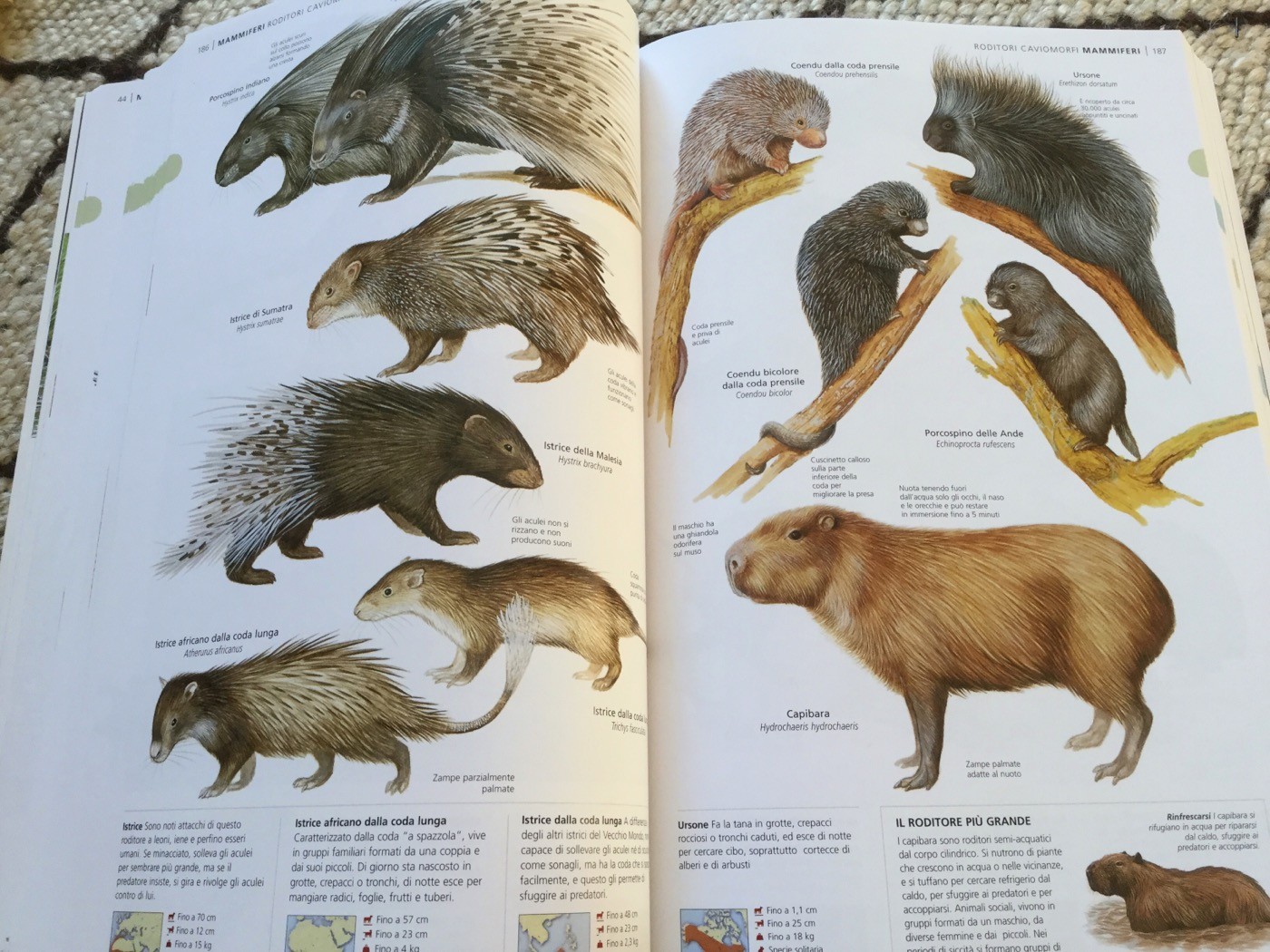 NUOVA ENCICLOPEDIA DEGLI ANIMALI - Touring Club Editore