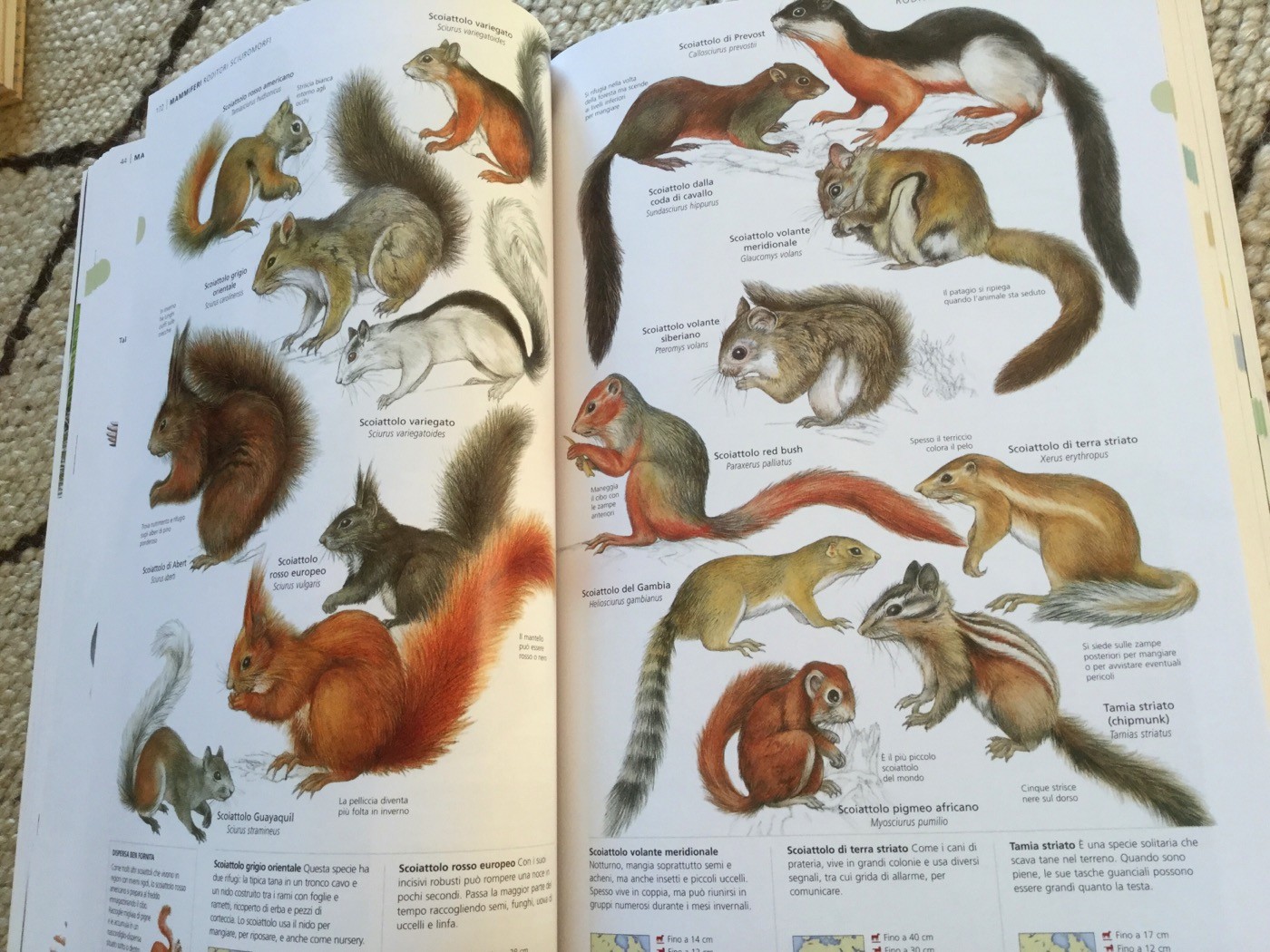 NUOVA ENCICLOPEDIA DEGLI ANIMALI - Touring Club Editore