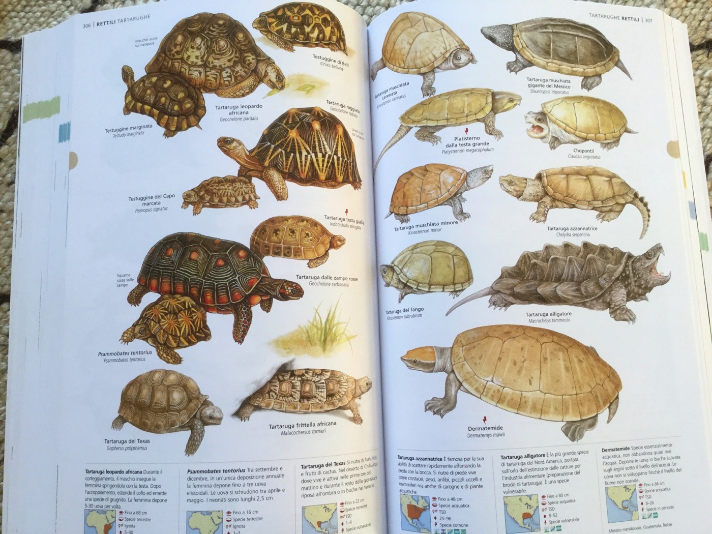 NUOVA ENCICLOPEDIA DEGLI ANIMALI - Touring Club Editore