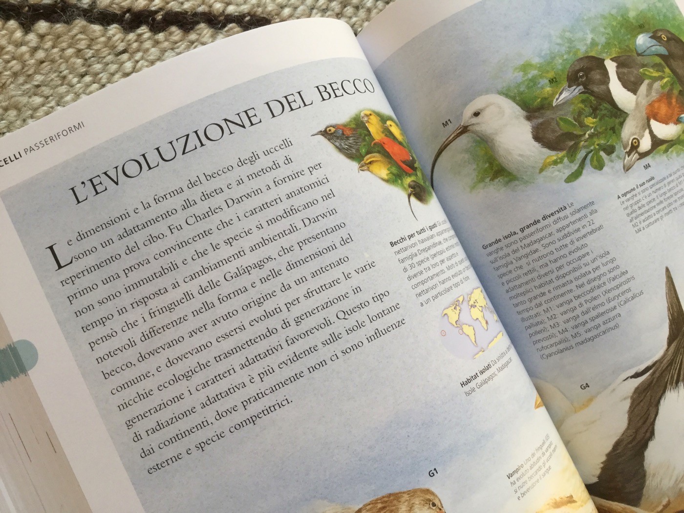 NUOVA ENCICLOPEDIA DEGLI ANIMALI - Touring Club Editore