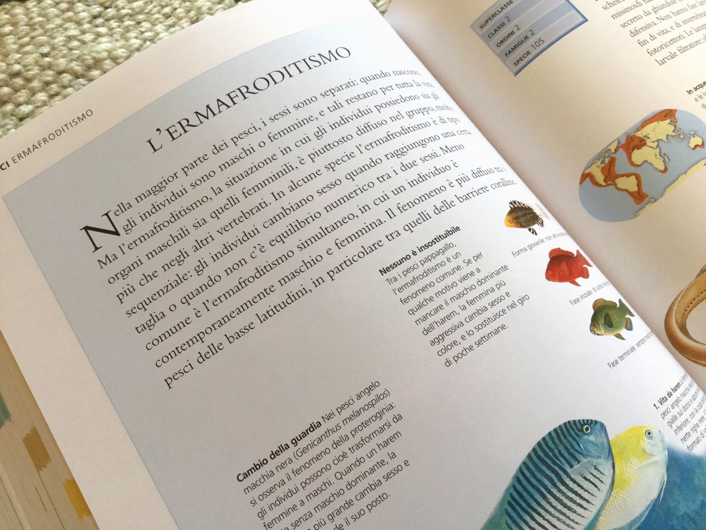 NUOVA ENCICLOPEDIA DEGLI ANIMALI - Touring Club Editore