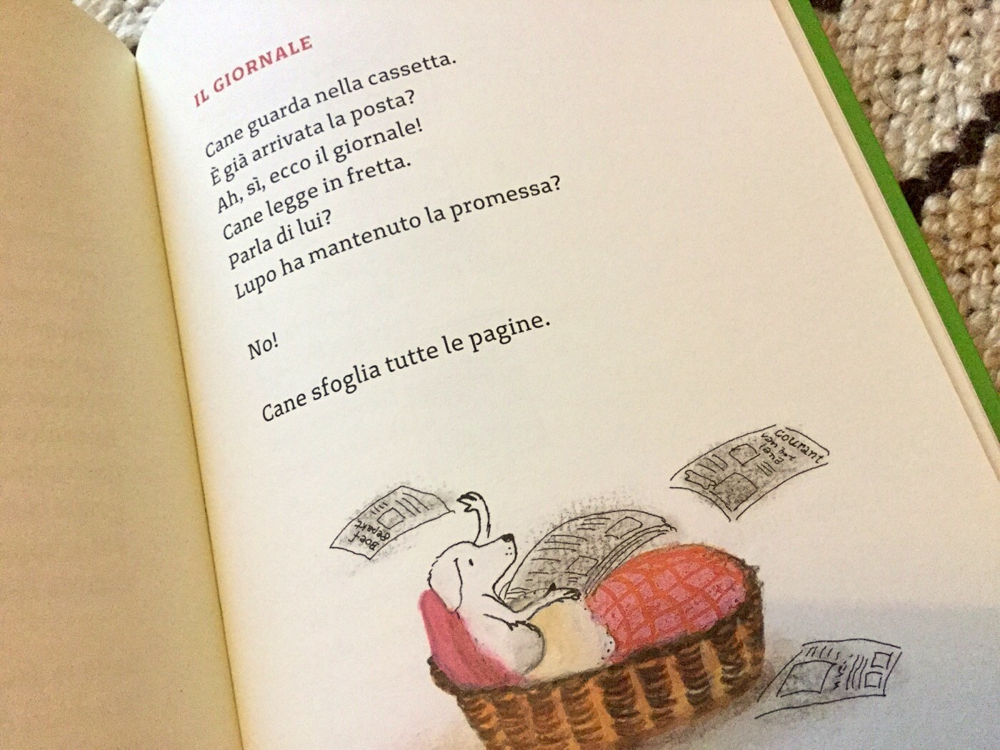 LUPO E CANE. INSOLITI CUGINI. Sylvia Vandeen Heede - M. Tolman - Beisler - 2015