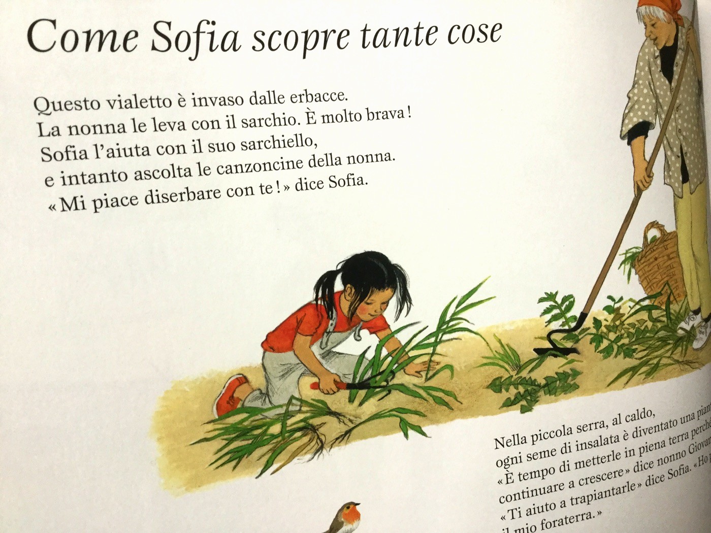LA VITA SEGRETA DELL'ORTO Gerda Muller - Babalibri - 2013 - Galline Volanti