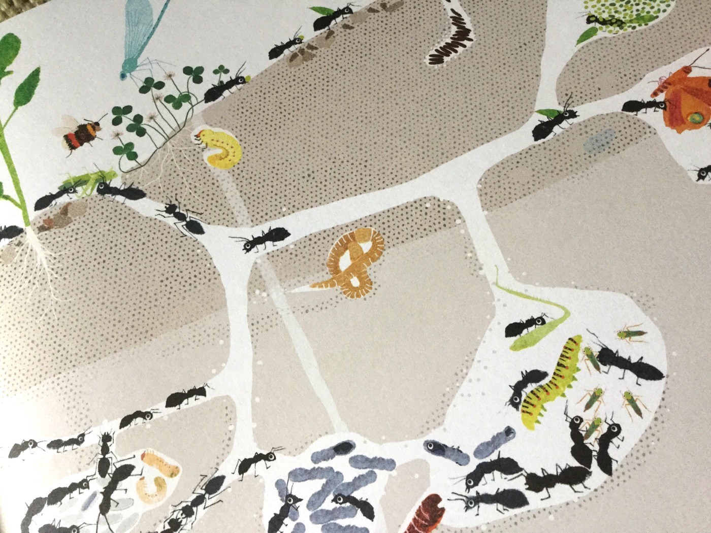 SOTTOTERRA Cosa succede sotto i nostri piedi mese per mese Emmanuelle Houssais - La Margherita - 2016 - Galline Volanti