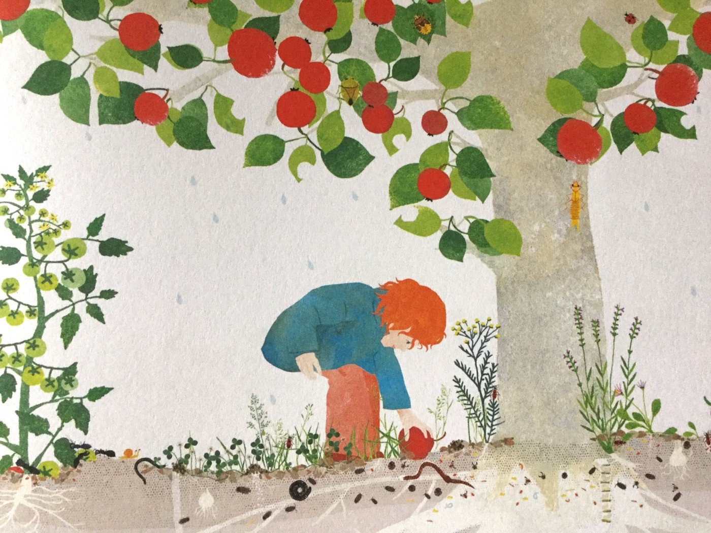 SOTTOTERRA Cosa succede sotto i nostri piedi mese per mese Emmanuelle Houssais - La Margherita - 2016 - Galline Volanti