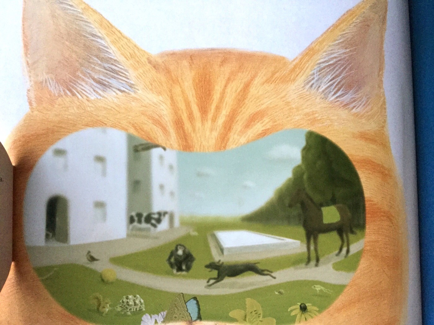 ZOOTTICA Come vedono gli animali? Guillaume Duprat - L'Ippocampo - 2013- Galline Volanti