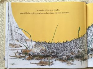scoiattolo-luna-Meschenmoser-Castoro-Galline-Volanti