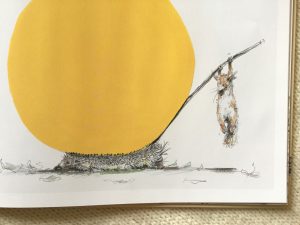 scoiattolo-luna-Meschenmoser-Castoro-Galline-Volanti