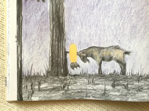 scoiattolo-luna-Meschenmoser-Castoro-Galline-Volanti