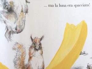 scoiattolo-luna-Meschenmoser-Castoro-Galline-Volanti