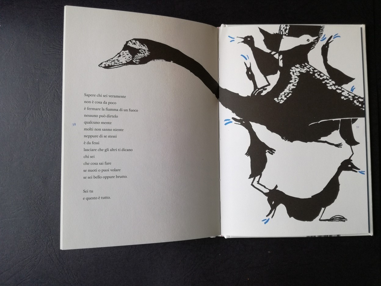 In_mezzo_alla_fiaba_GallineVolanti