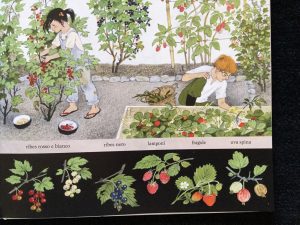 La festa dei frutti | Gerda Muller | Babalibri - Galline Volanti
