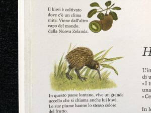 La festa dei frutti | Gerda Muller | Babalibri - Galline Volanti