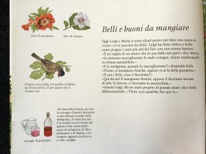 La festa dei frutti | Gerda Muller | Babalibri - Galline Volanti