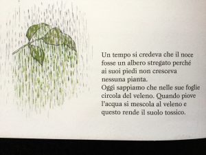 La festa dei frutti | Gerda Muller | Babalibri - Galline Volanti
