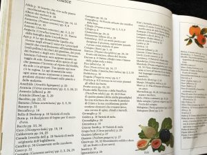 La festa dei frutti | Gerda Muller | Babalibri - Galline Volanti