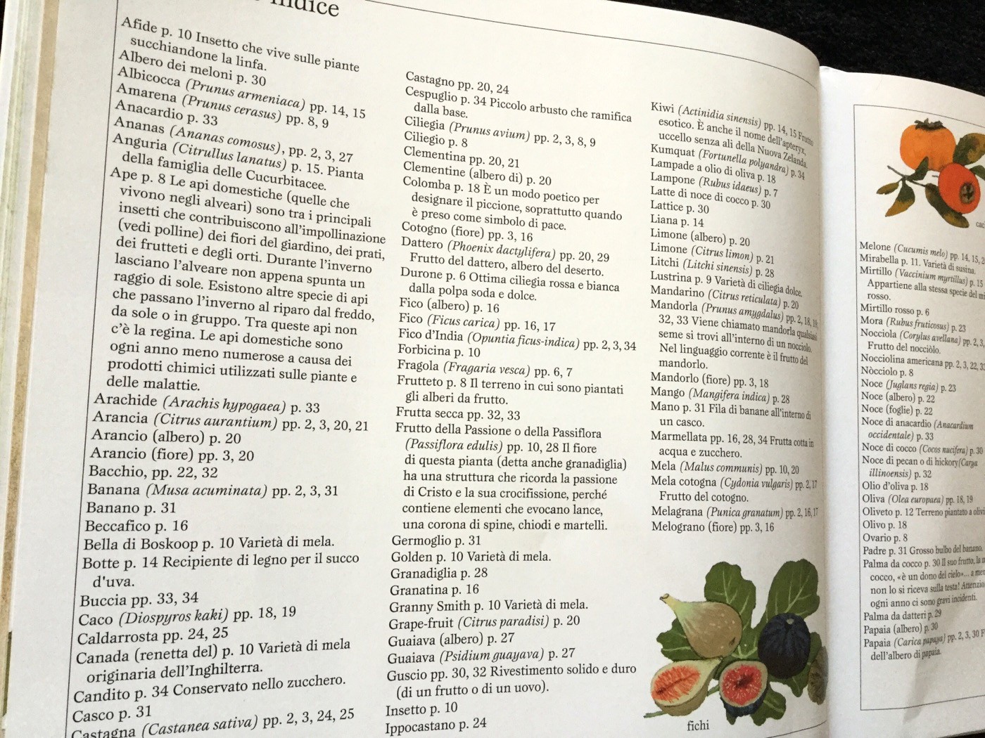 La festa dei frutti | Gerda Muller | Babalibri - Galline Volanti