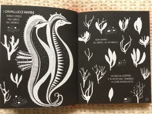 Il-piccolo-libro-dei-grandi-segreti-animali-Maja-Säfström-Nomos-Edizioni-Galline-Volanti