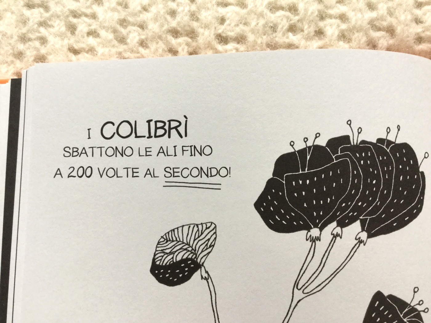Il-piccolo-libro-dei-grandi-segreti-animali-Maja-Säfström-Nomos-Edizioni-Galline-Volanti