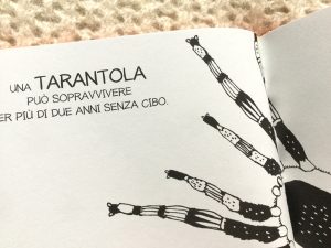 Il-piccolo-libro-dei-grandi-segreti-animali-Maja-Säfström-Nomos-Edizioni-Galline-Volanti