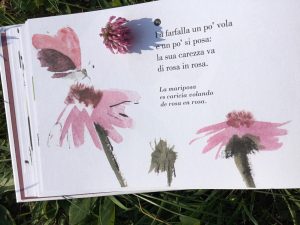 poemario_campo_Antonio_palacios_leticia_ruifernandez_orecchio_acerbo_galline_volanti