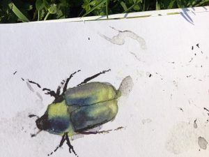 poemario_campo_Antonio_palacios_leticia_ruifernandez_orecchio_acerbo_galline_volanti