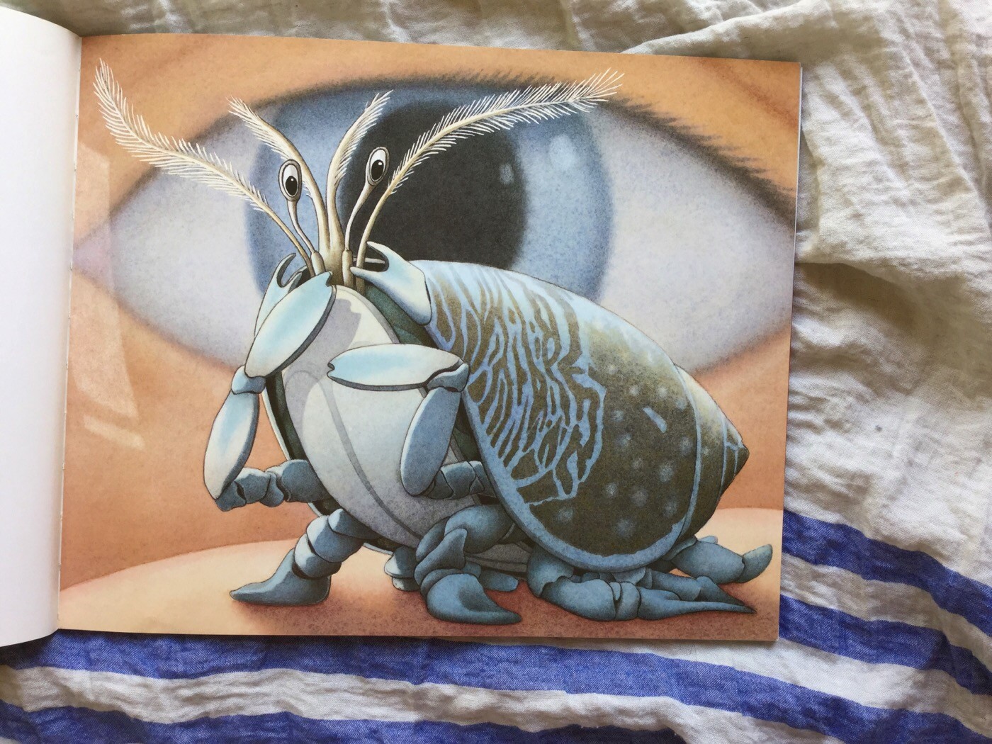 Flotsam-david-wiesner-galline-volanti