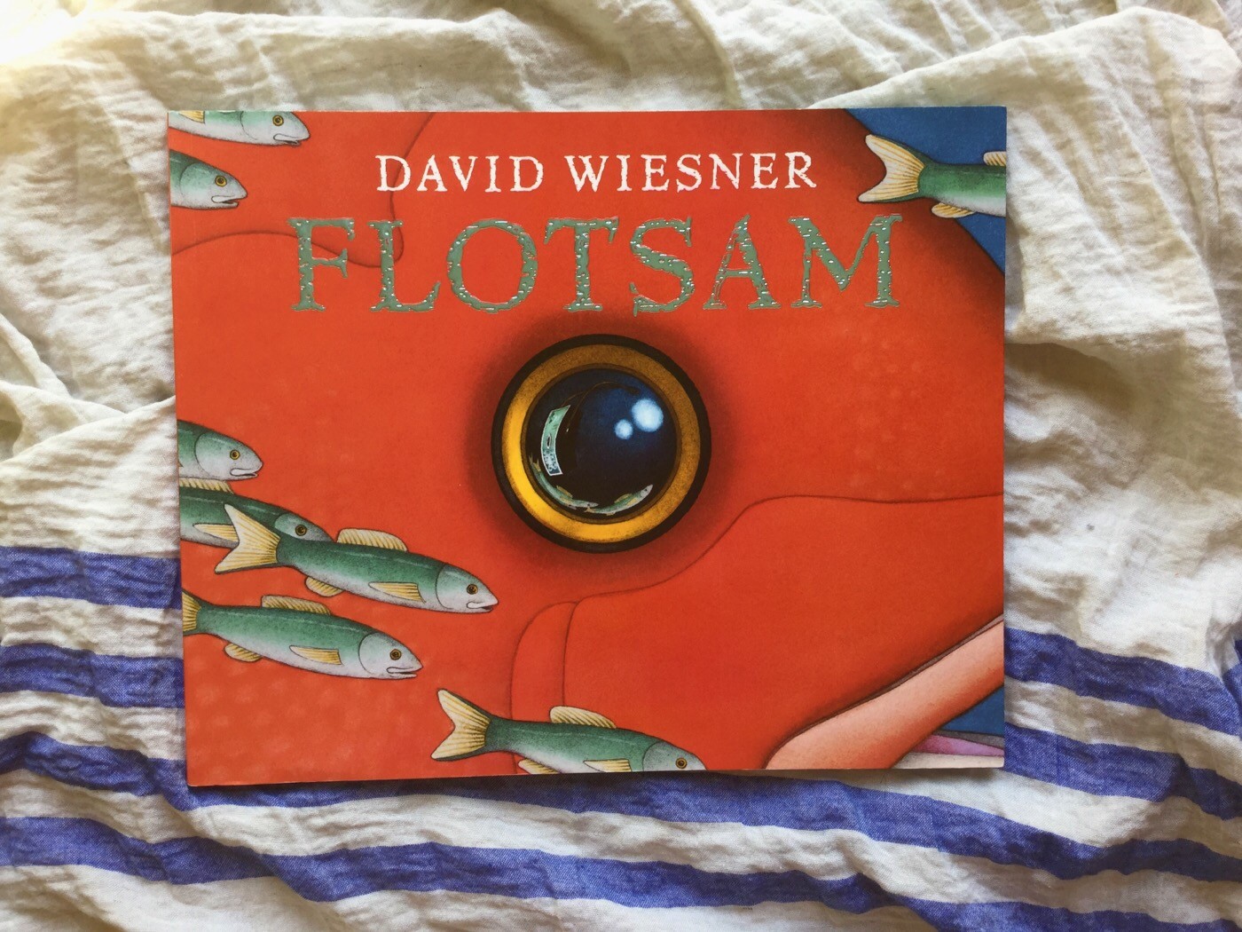 Flotsam-david-wiesner-galline-volanti