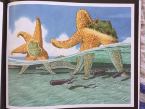 Flotsam-david-wiesner-galline-volanti