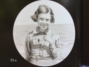 Flotsam-david-wiesner-galline-volanti