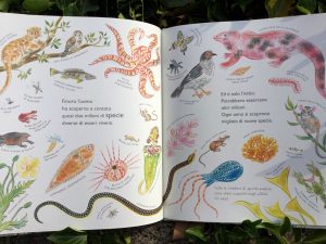 Tanti-diversi-nicola-davies-emily-sutton-editoriale-scienza-galline-volanti