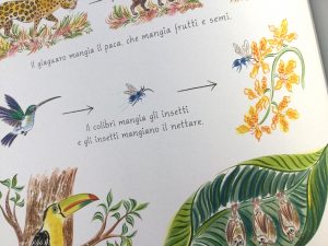 Tanti-diversi-nicola-davies-emily-sutton-editoriale-scienza-galline-volanti