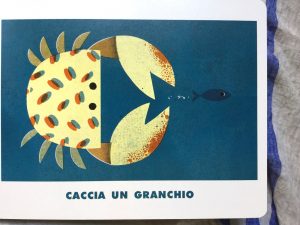 Nel-cielo-nel-mare-giovanna-zoboli-philip-giordano-topipittori-galline-volanti