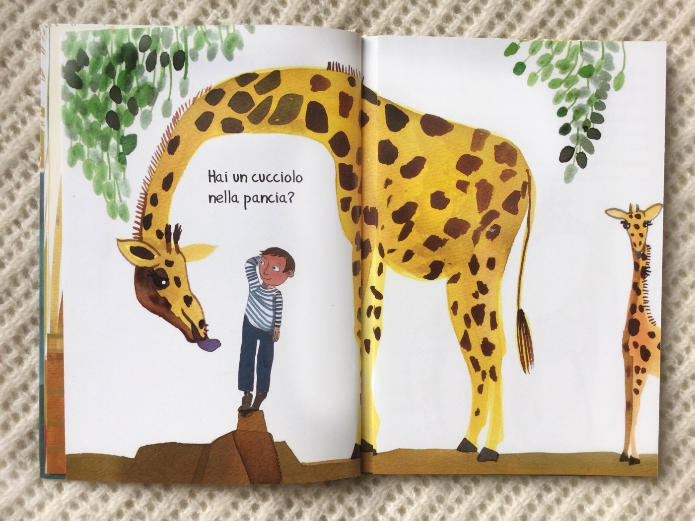 Tutte-pance-mondo-lucia-scuderi-donzelli-galline-volanti