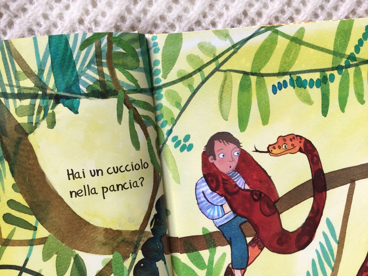 Tutte-pance-mondo-lucia-scuderi-donzelli-galline-volanti