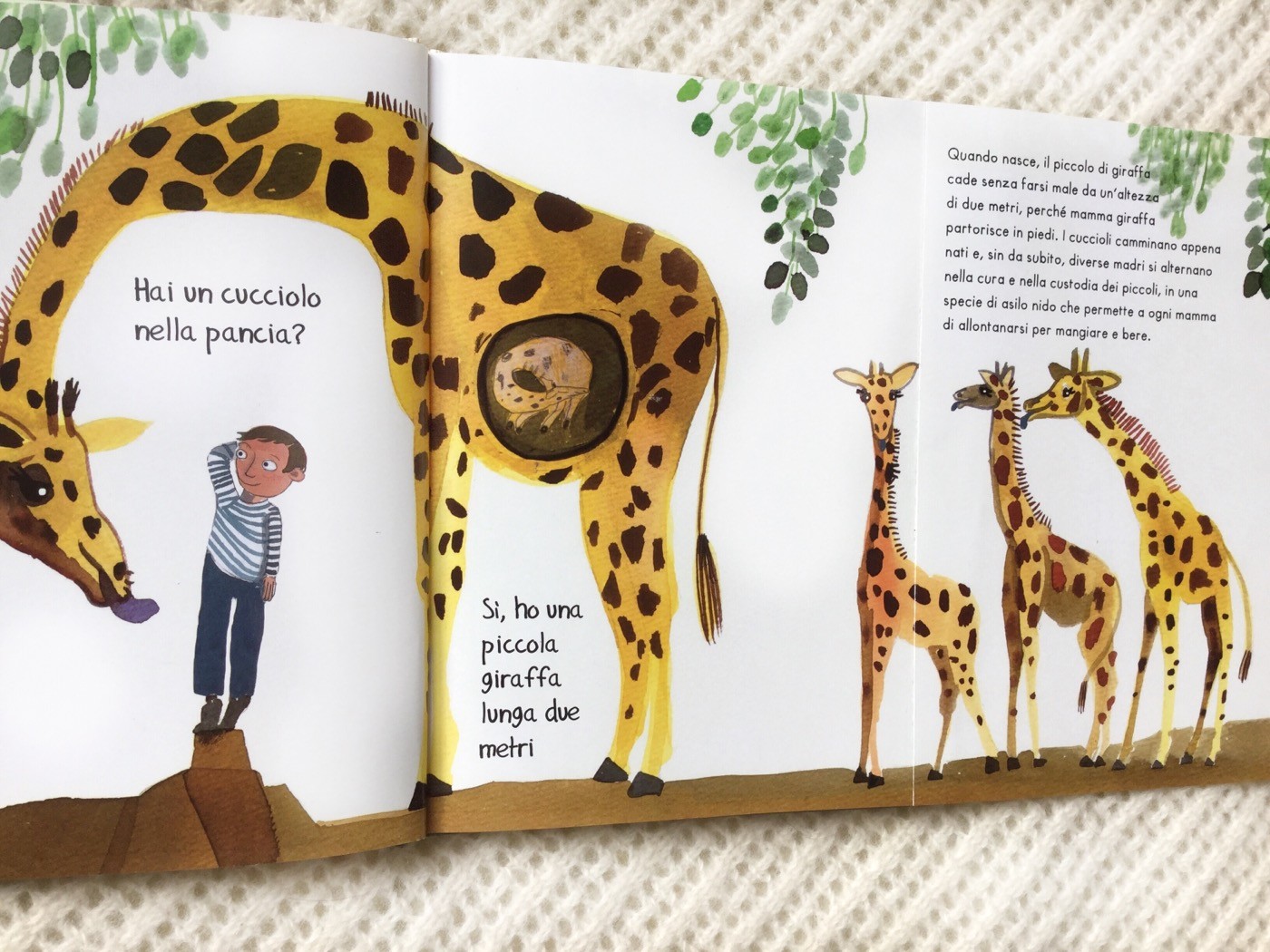 Tutte-pance-mondo-lucia-scuderi-donzelli-galline-volanti