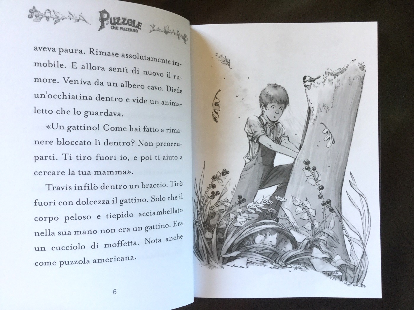 Puzzole-che-puzzano-calpurnia-jacqueline-kelly-nord-sud-edizioni-galline-volanti