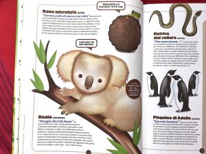 Storie-bestiali-Piero-Genovesi-Sandro-Natalini-Editoriale-Scienza-Galline-Volanti