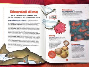 Storie-bestiali-Piero-Genovesi-Sandro-Natalini-Editoriale-Scienza-Galline-Volanti
