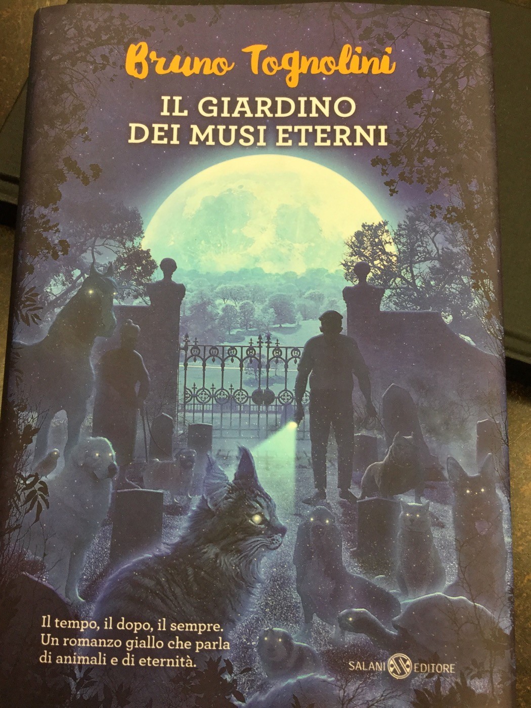 4C3BC20E-4D11-443E-9B11-E0D0AED433BF