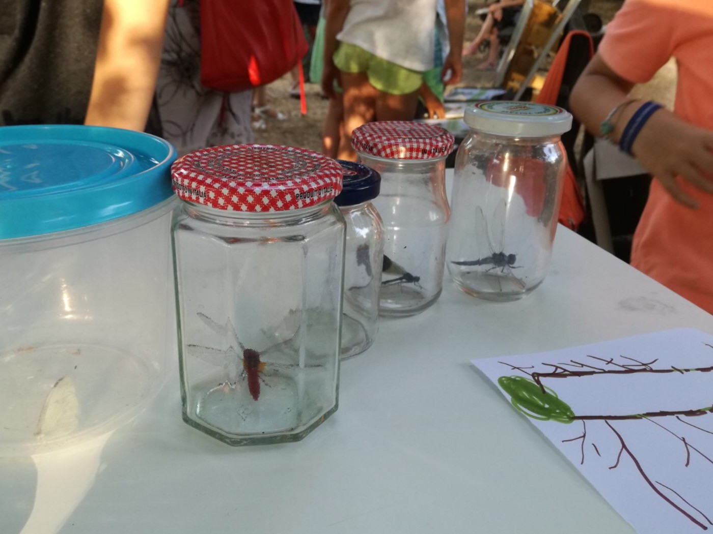 0B60D237-3BD7-47E4-BBB8-B4939A8A8C09 0B60D237-3BD7-47E4-BBB8-B4939A8A8C09