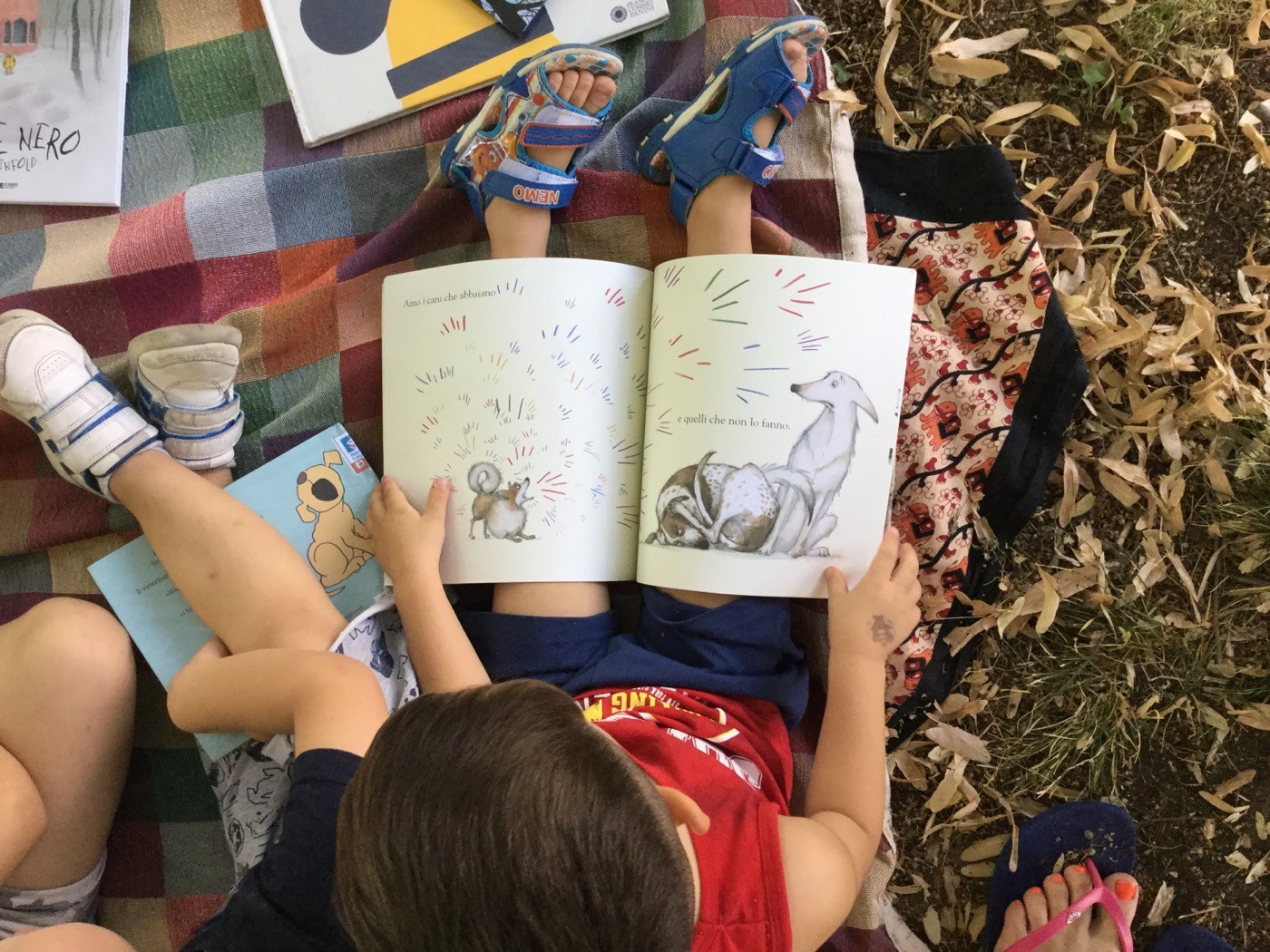 CCDD106F-5974-4C27-A606-A5D66EAC23C1 CCDD106F-5974-4C27-A606-A5D66EAC23C1